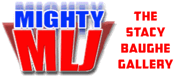 STACY BAUGHER GALLERY